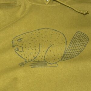 Duluth beaver hoodie NEW but no tags, smoke free, seems heavy weight quality!!